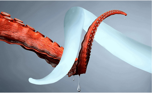  Colloque «Robotique souple et modélisation» 