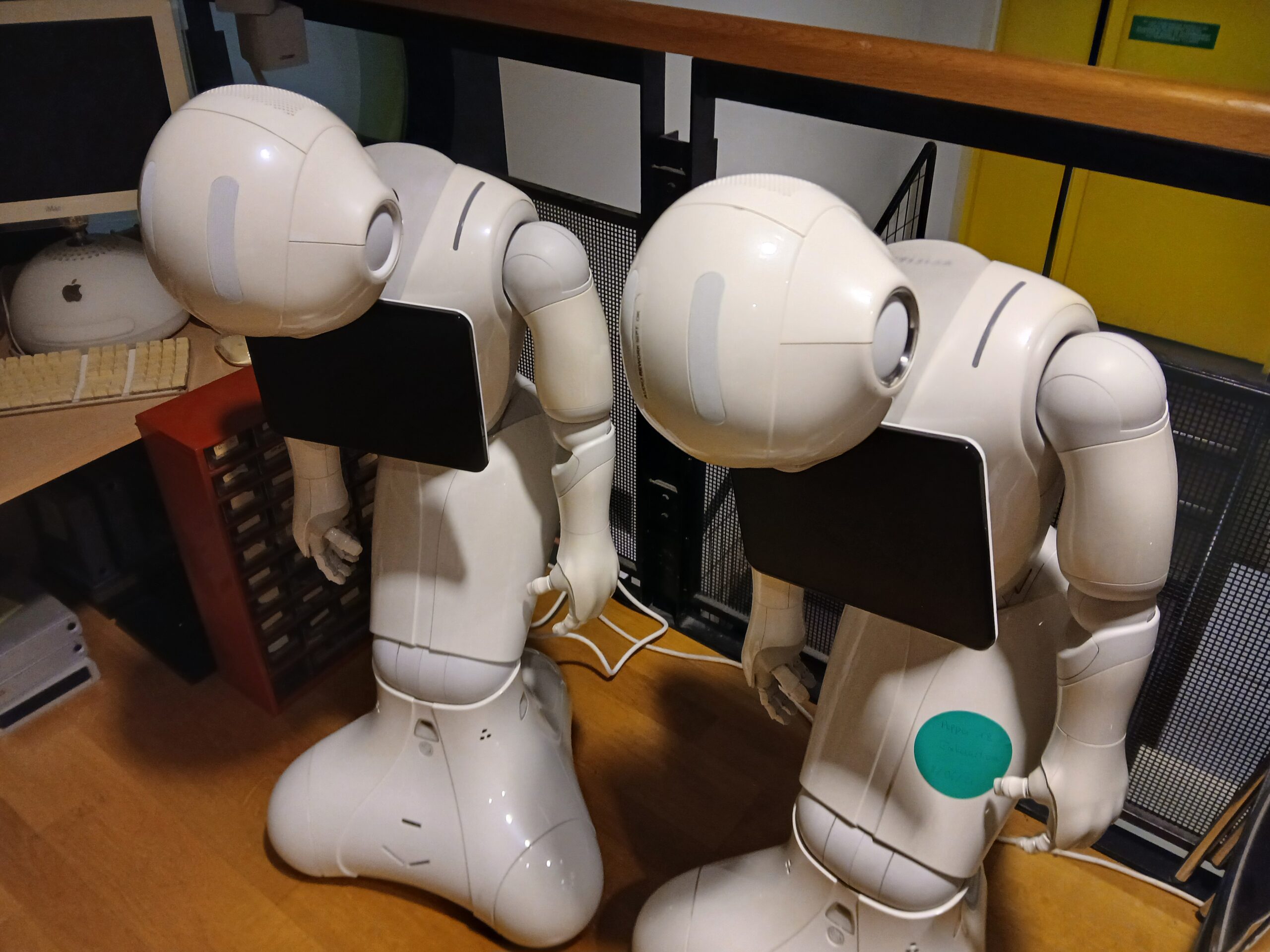  3ème webinaire 2026 des projets ciblés 